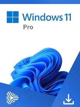 Microsoft Windows 11 Professional Retail Microsoft CD Key