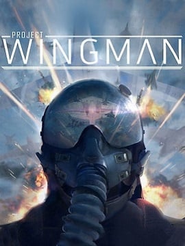 Project Wingman Steam CD Key