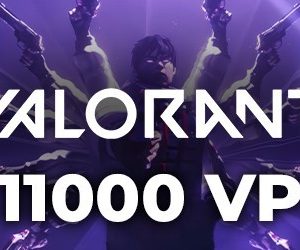Valorant Points 11,000 VP (2,450 TL RC)